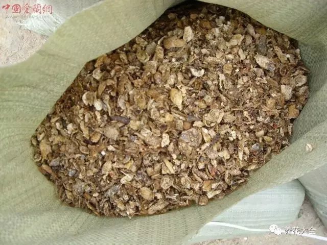 1、把吃剩下的花生殼剁碎，放入塑料瓶內(nèi)。往塑料瓶里加水。