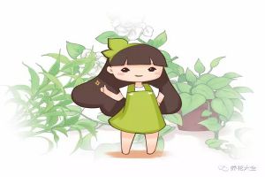 綠蘿吊蘭賊亮賊綠不黃葉，3招就搞定！