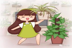 養(yǎng)花擺對位置，才能聚財擋災，擺錯了…