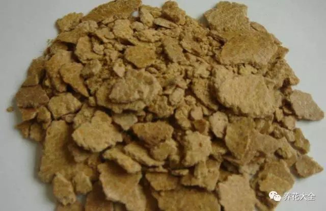 1、準(zhǔn)備一些弄碎的豆餅，當(dāng)然是要腐熟后的哦~