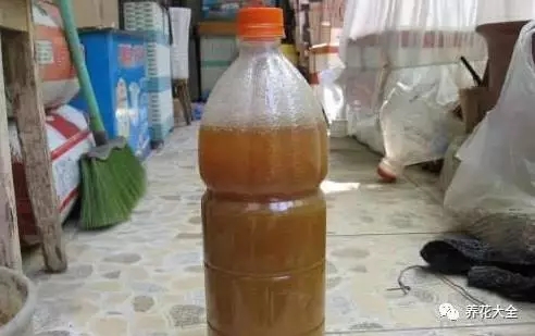  2、放到太陽(yáng)底下暴曬即可。