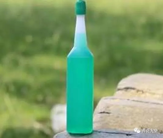 每次換水的時(shí)候，給富貴竹的水培瓶了滴進(jìn)去1~2滴營(yíng)養(yǎng)液。