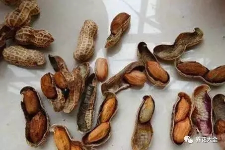 1、像是家里已經(jīng)發(fā)霉的花生啊，大豆啊，剩菜啊，雞蛋殼啊之類的，都可以收集起來(lái)。