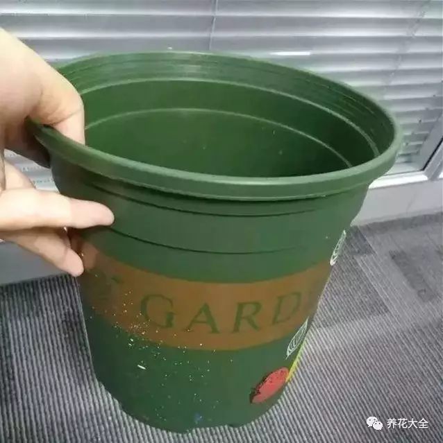 還有一個(gè)很簡(jiǎn)單的判斷方法，就是掂盆法。將花盆掂起來，如果感覺輕了不少，那就是應(yīng)該澆水了。