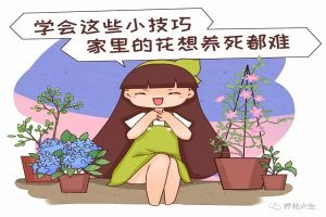 學(xué)會這20個小技巧，家里的花想養(yǎng)死都難！