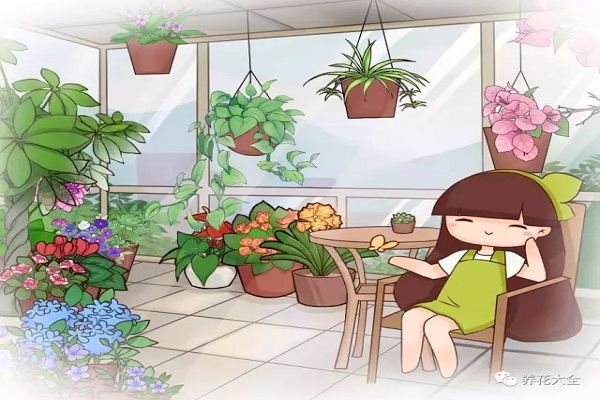 這10種花越賤養(yǎng)越瘋長，太勤快養(yǎng)不好！