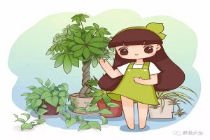 發(fā)財(cái)樹(shù)..最佳擺放位置，養(yǎng)花人必看！