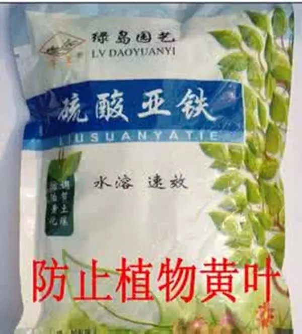 硫酸亞鐵按照1:500的比例稀釋，倒入水培瓶中，它可以迅速釋放鐵元素，緩解花草黃葉。