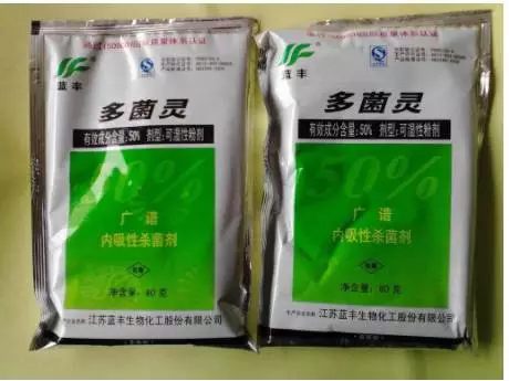 根部傷口處涂抹一些多菌靈消毒，放在陰涼通風(fēng)處晾干。
