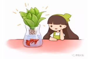 水培瓶里加點(diǎn)它，不黃葉不爛根，蹭蹭瘋長！