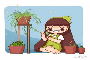 秋天養(yǎng)花就靠這7點(diǎn)，學(xué)會(huì)了保你花開滿盆！