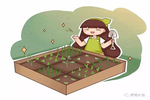 你的菜園子臟亂差，再看看人家的，比大花園還美！