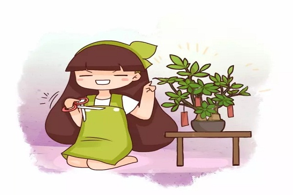 發(fā)財樹看見這種枝，趕緊剪，要不然過兩天就徹底長殘！
