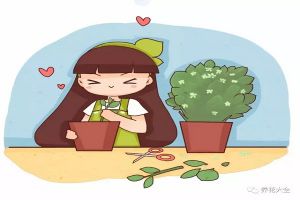 扦插總不活，就因為這10個小動作，學(xué)會這些插啥活啥！