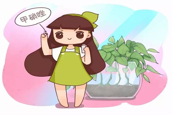 水培爛根臭烘烘？趕緊丟點(diǎn)這個(gè)進(jìn)去，立馬解決！