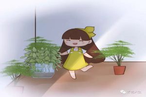 這40種花超耐陰，光照不好也能長滿屋！