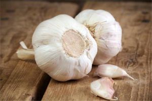家里養(yǎng)花用上點大蒜，防腐促芽殺蟲又?；?！
