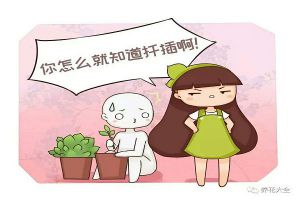 今天告訴你，她把1盆變100盆的訣竅，竟這么簡單！