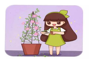 狠心給花一剪刀，竟讓它瘋狂開花不黃葉！