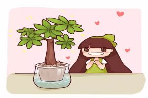 綠蘿吊蘭發(fā)財(cái)樹，種土里不如養(yǎng)水里！