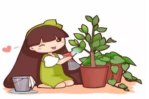 簡(jiǎn)單學(xué)1招，君子蘭文竹…葉片綠得能滴油！