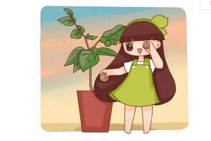 核桃菠蘿蜜…在家就能種！省錢(qián)好看！