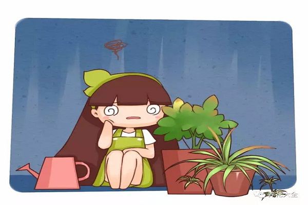 老花農(nóng)總結20年，花草黃葉的真正原因，不看虧死了！