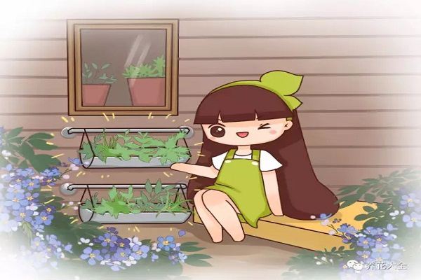 現(xiàn)在扦插這幾種花，生根超快快，瘋長到停不下來！