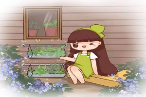 現(xiàn)在扦插這幾種花，生根超快快，瘋長到停不下來！