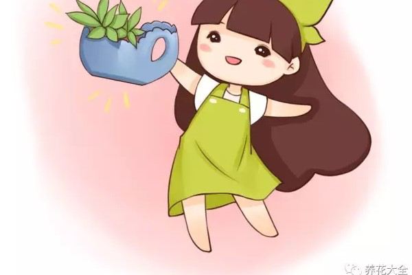 這年頭，誰還花錢養(yǎng)花？1把剪刀就夠了！