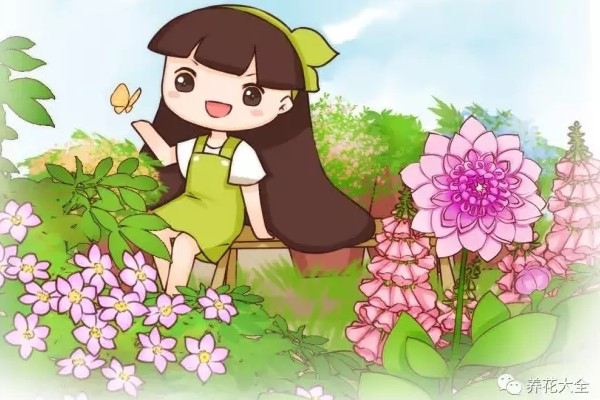 6種爬藤花，種上就能收獲1面花墻！
