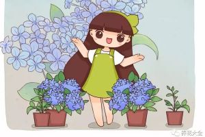 這花長(zhǎng)得剎不住閘，爆滿整個(gè)陽臺(tái)，趕緊掐枝分給鄰居！