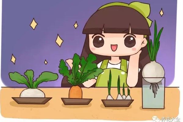 養(yǎng)花2天就死，種草1天不活，還不如養(yǎng)個菜頭！