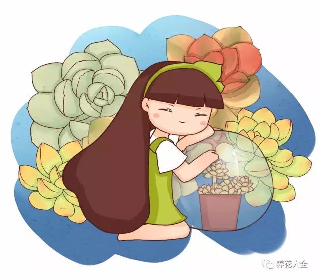 換季入秋，千萬注意這5點(diǎn)，不然多肉還會(huì)死！