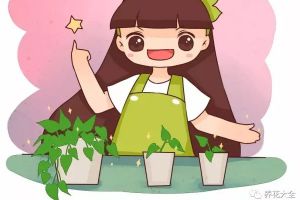 綠蘿吊蘭...這樣扦插5天生根，再便宜也別買！