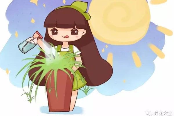 她養(yǎng)的吊蘭2指寬，銅錢草巴掌大，咋做到的？