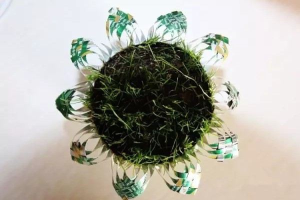 夏天喝完的易拉罐，剪刀一剪，拿來養(yǎng)花超級棒！