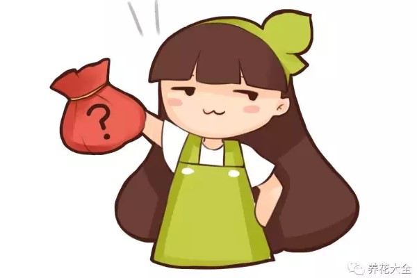 他從來(lái)都不施肥，只往盆里扔點(diǎn)這個(gè)，花就開(kāi)瘋了！