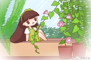 夏天種上這些花，空調(diào)都不用，太涼快了！