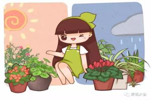 她家的花開(kāi)了一茬又一茬，攔都攔不?。?></a><p class=