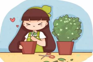 花開完趕緊剪，隨手一插，5天就生根！