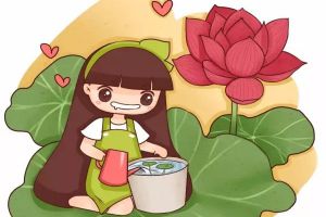 這種花，清涼消暑又美味，人人都愛！
