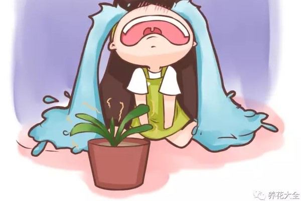 這些花夏天你就別養(yǎng)了，一養(yǎng)一個(gè)死！