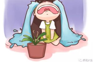 這些花夏天你就別養(yǎng)了，一養(yǎng)一個(gè)死！