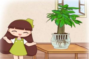 水里丟點料，花根壯的像打藥，黃葉蚊蟲全沒了！