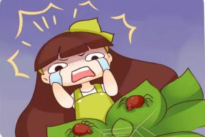 黃葉爛根不開花？只需2步就解決，養(yǎng)10年都不是事！