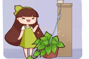 夏季天天澆水，累死，學(xué)他這樣做，給花自動(dòng)澆水！