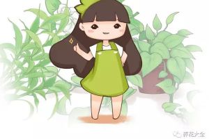 老姐養(yǎng)了20年的花，從來(lái)不黃葉，終于發(fā)現(xiàn)她的小秘密了！