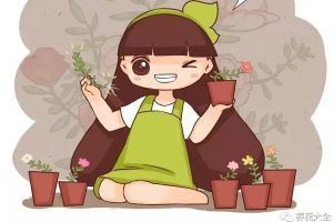 這6種花插盆里，5天生根，10天開花！
