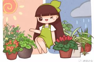 再便宜也別買，這4種花剪個(gè)枝，很快就長一大盆！